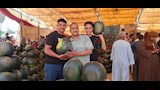 المزمار البلدي يشعل مزادات البطيخ في أسيوط (20)