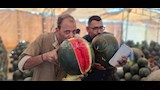 المزمار البلدي يشعل مزادات البطيخ في أسيوط (12)