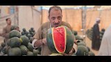 المزمار البلدي يشعل مزادات البطيخ في أسيوط (11)