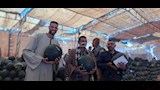 المزمار البلدي يشعل مزادات البطيخ في أسيوط (10)