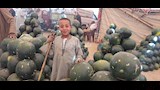 المزمار البلدي يشعل مزادات البطيخ في أسيوط (8)