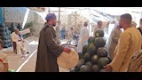 المزمار البلدي يشعل مزادات البطيخ في أسيوط (23)