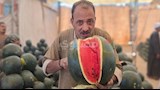 خبايا وأسرار البطيخ من قلب شوادر أسيوط.. "ازاي تفرق بين القرعة والسكّرة؟" -فيديو وصور