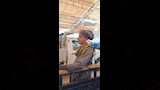 شاب يعيد ملامح إخناتون إلى الحياة بأسيوط (4)