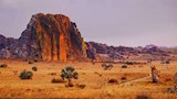 جزيرة مدغشقر