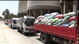سوهاج تتجاوز 100 ألف طن قمح منذ بدء موسم التوريد 