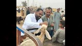 الحملة القومية ضد الحمى القلاعية بأسوان
