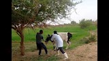الحملة القومية ضد الحمى القلاعية بأسوان