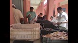 لة السمك بمدينة الطور