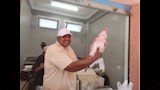 الأسماك