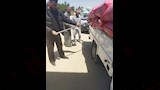 توريد 89 ألف طن قمح ببني سويف (8)