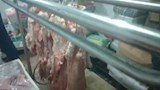 ضبط لحوم فاسدة في الإسكندرية (4)