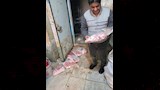 ضبط لحوم فاسدة في الإسكندرية (1)