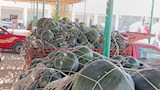 رحلة البطيخ في المنيا بين ارتفاع التكاليف وجشع التجار (3)