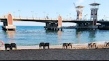 أجواء ربيعية مميزة بشواطئ الإسكندرية (3)