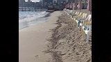 أجواء ربيعية مميزة بشواطئ الإسكندرية (7)