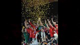 فوز منتخب إٍسبانيا بكأس العالم 2010 (2)
