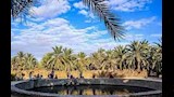 اكتشف مغامرات السفاري في مصر بين الرمال والنجوم