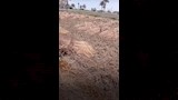 توريد القمح في الفيوم ,_