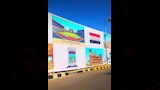 الإسكندرية تتزين استعدادًا لزيارة السيسي وماكرون (11)