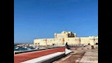 الإسكندرية تتزين استعدادًا لزيارة السيسي وماكرون (14)