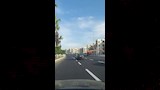 الإسكندرية تتزين استعدادًا لزيارة السيسي وماكرون (20)