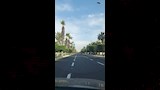 الإسكندرية تتزين استعدادًا لزيارة السيسي وماكرون (21)
