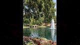 صور لجزيرة مايكل جاكسون نيفر لاند (3)