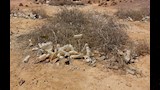 المخلفات البلاستيكية