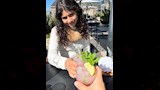 ليلى ابنة هند صبري (1)