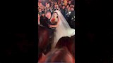 باسل سماقية وابنته في حفل زفافها (2)