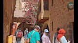 الأفواج السياحية