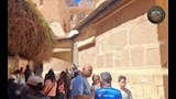 الأفواج السياحية