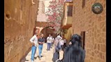 زيارة مالم دير سانت كاترين