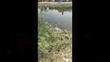 حادث البدرشين