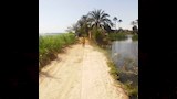 غمر جزئي للأراضي دون خسائر بمركزي ابوتيج والبداري  (7)~1
