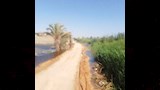 غمر جزئي للأراضي دون خسائر بمركزي ابوتيج والبداري  (12)~1