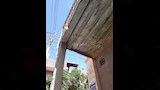 سقف بالجريد وافلاق الخشب لمقر بنك محمد خليفة بالخارجة (2)
