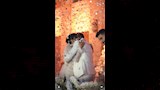 بكاء هايدي كامل في احضان زوجها (3)