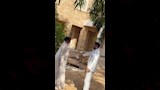 فرحة وسعادة هايدي كامل وزوجها عبدالله التركي (3)