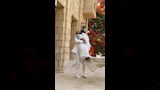 مراسم عقد قران هايدي وعبدالله (2)