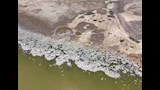 بحيرة سان كارلوس (1)