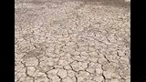 بحيرة سان كارلوس (2)