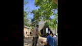 أشجار وزهور الفنان الراحل شاهدة على وداعه الأخير (10)