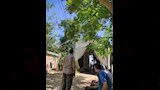 أشجار وزهور الفنان الراحل شاهدة على وداعه الأخير (11)