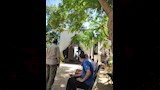 أشجار وزهور الفنان الراحل شاهدة على وداعه الأخير (13)