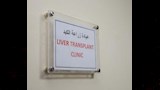 جامعة المنيا  (4)