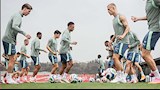 ثعابين سامة تحاصر معسكر سويسرا قبل انطلاق كأس العالم 2026.. ما القصة؟