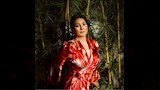 وفاء عامر الفنانة