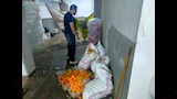 ضبط مصنع غير مرخص لحلوى الأطفال بالقليوبية 